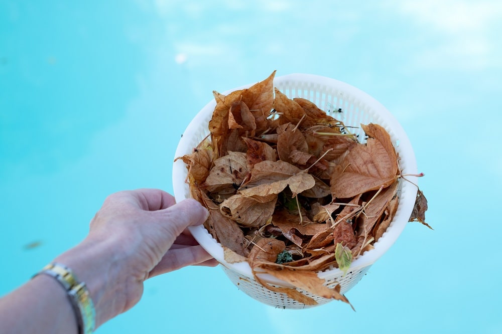 skimmer on side of pool